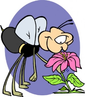 bee_with_flower.jpg